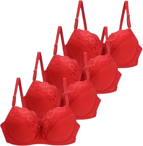 Sexy Lace Plus Size Collection (BCDE Cup, 4PC)